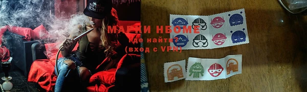 соль ск Богородицк