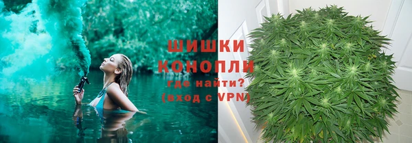mdpv Богородск