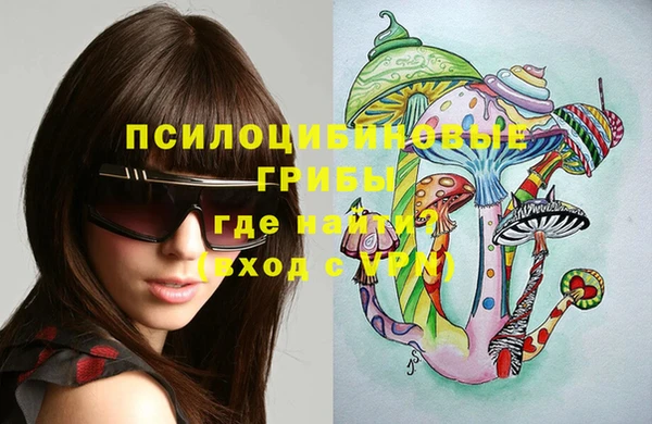 индика Строитель